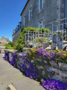 Roscoff, ville fleurie