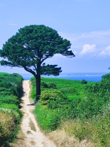 Vue sur la Baie