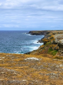 La côte sauvage