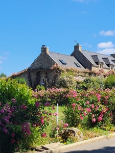 La Maison Aux Roses