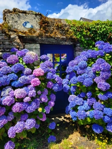 Porche avec hortensias