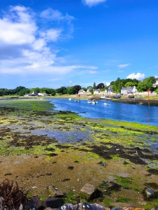 Le vieux port