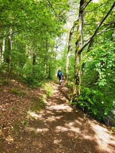 Bois de Kerdaniou