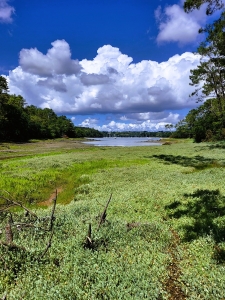 L'anse de Combrit