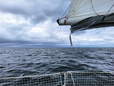 Grain sur la Presqu'île de Crozon.