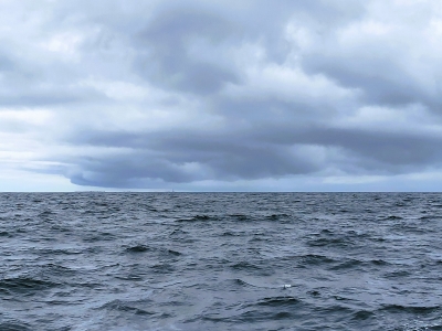 Grain sur l'Île de Sein