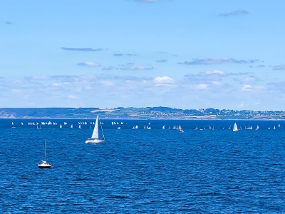 Régate dans la baie