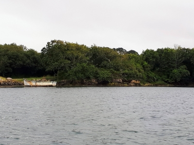 Promenade dans l'Aber Ildut et ses berges sauvages