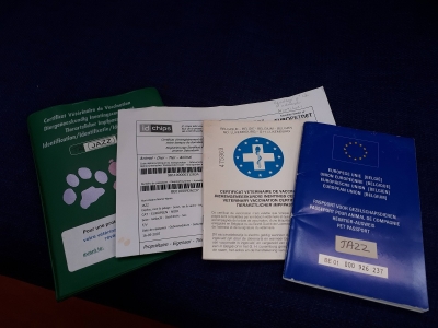 Ses papiers : carnet de vaccination, attestation de puce d'identification, passeport