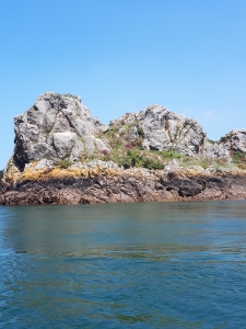 Les rochers couverts de bruyère sauvage