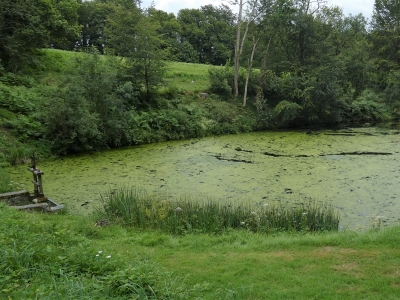 Ecomusée des Monts d'Arrée, retenue d'eau