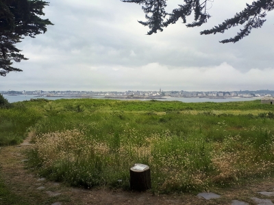 Roscoff vue depuis l'île de Batz