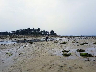 Traversée de l'Anse de Laber à marée basse pour rejoindre la pointe de Perharidy