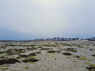 Roscoff vu de la pointe de Perharidy