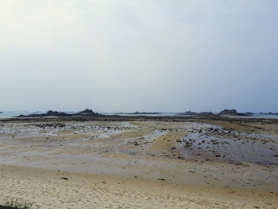 Ouest de la pointe de Perharidy à marée basse