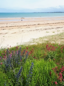 Au loin, l'archipel des Hébihens (ou Ebihens) et la pointe du Chevet