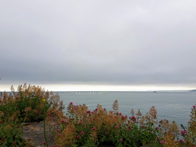 Au large du port d'échouage, les optimistes attendent leur petits équipages.