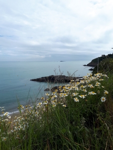 Vue depuis la promenade entre le port et Saint-Quay