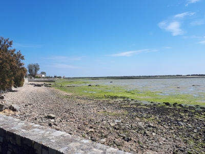 Départ de la promenade, au bout du quai du port de Saint-Vaast