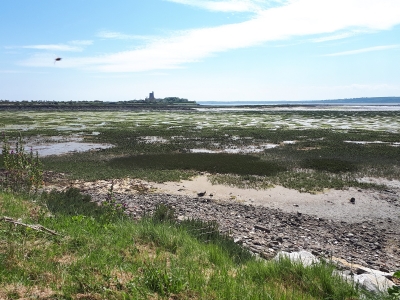 L'anse du Cul-de-Loup à Saint-Vaast-la-Hougue.