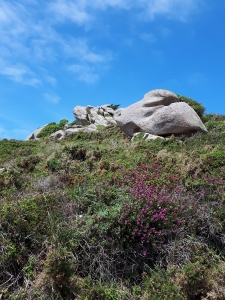 Rochers du versant ouest de l'île Millau