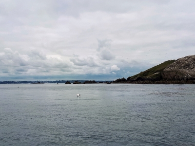 Île Rouzik et ses rochers affleurants