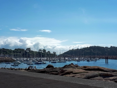 Le port de Trébeurden vu depuis la promenade