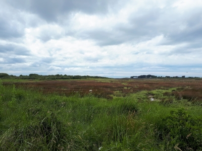 Marais de Noténo