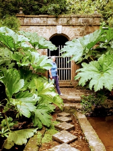 Jardins de Kerdalo, 7 juillet 2021